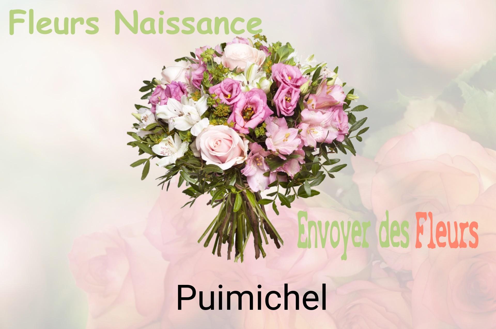 Bouquet de fleurs de naissance livré à Puimichel